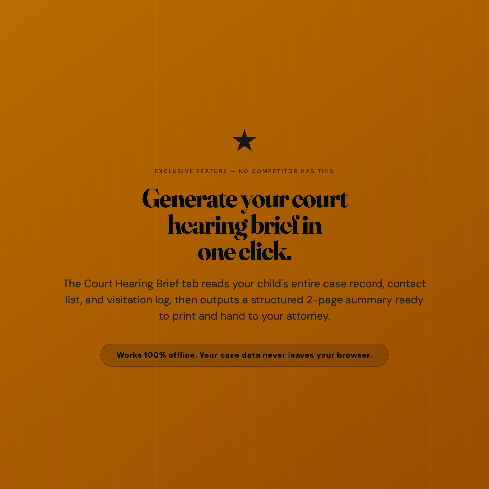 Court hearing brief generator for foster parents — one-click print-ready summary for attorney, no login needed